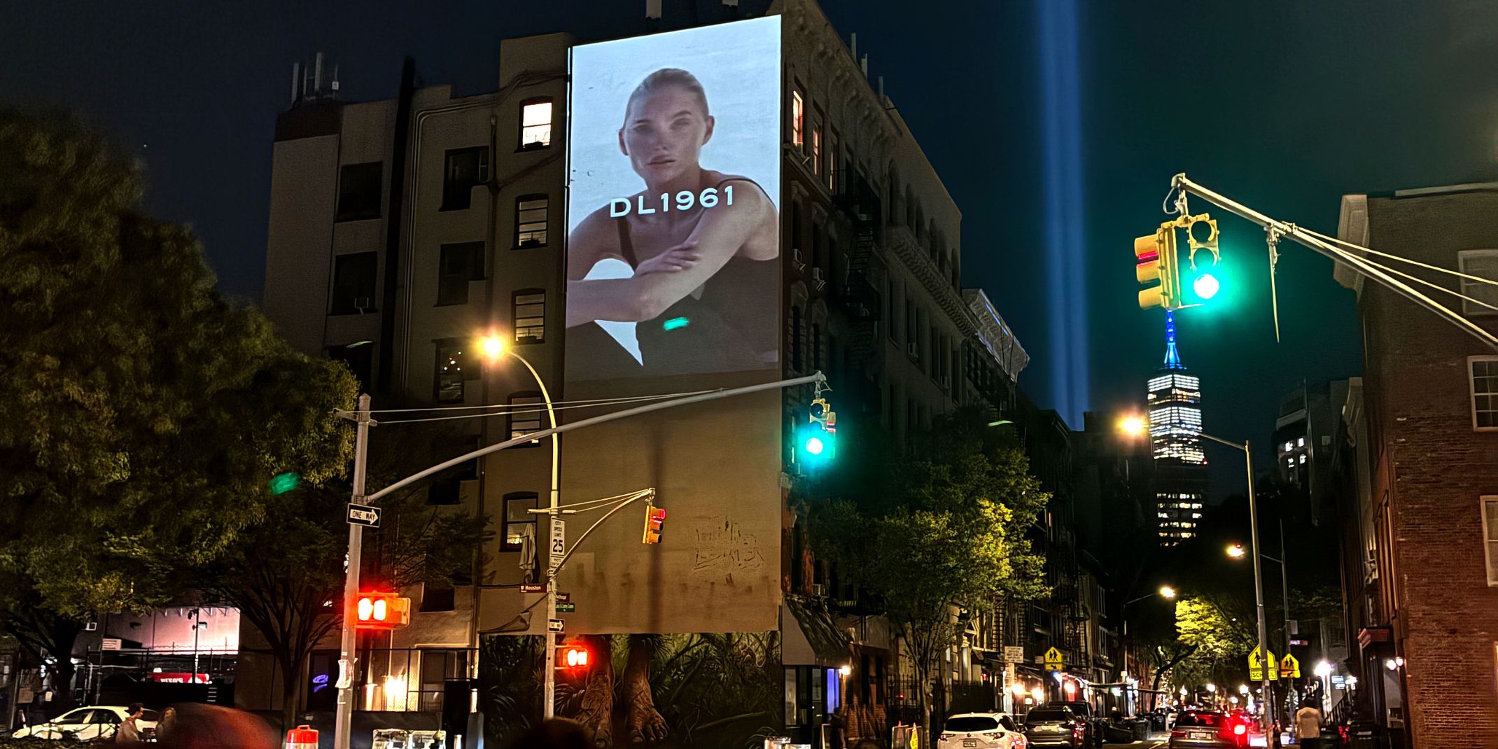 DL1961 projection campaign